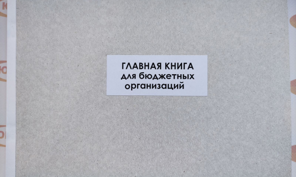 Главная книга для бюджетных организаций