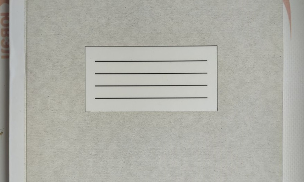 Канцелярская книга